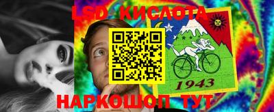 ПСИЛОЦИБИНОВЫЕ ГРИБЫ Гагарин