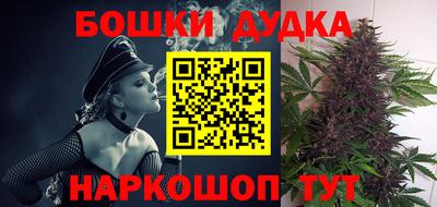 сатива Гатчина
