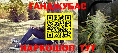 сатива Гатчина
