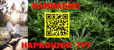 сатива Гатчина