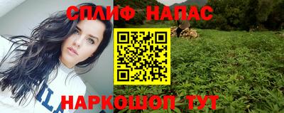 амф Гай