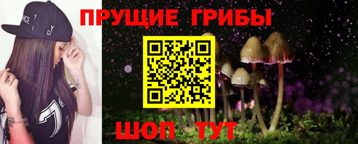Ликино-Дулёво  Псилоцибиновые грибы MAGIC MUSHROOMS  купить   Вход с VPN  Галлюциногенные грибы Cubensis 