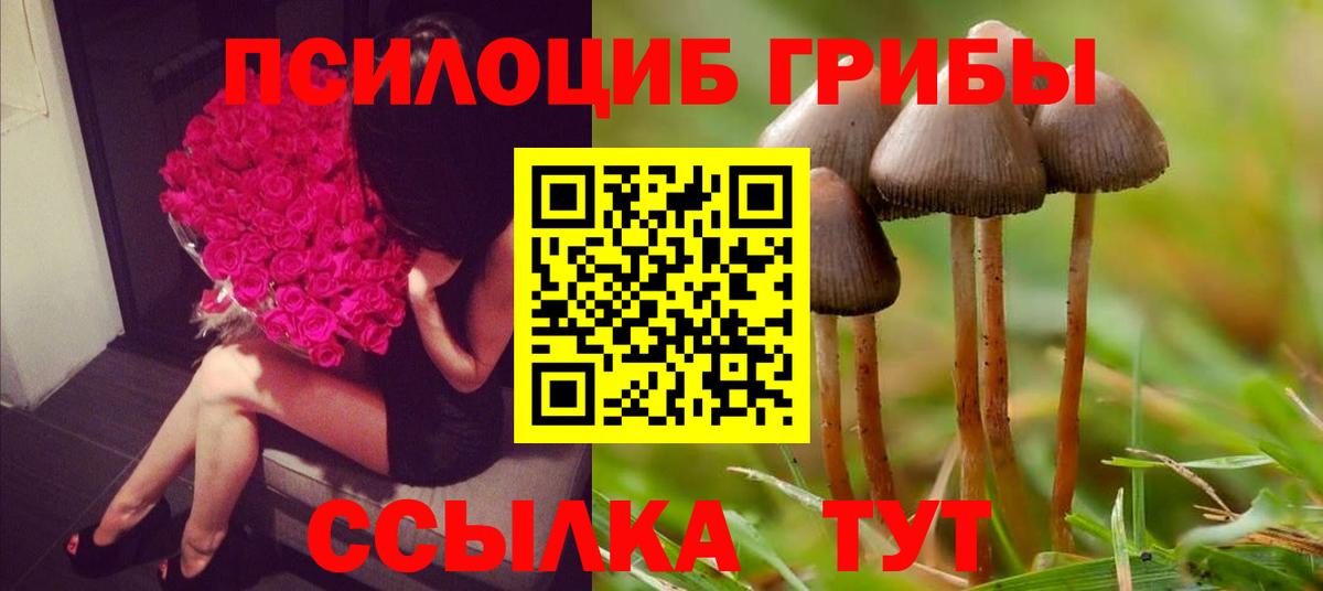 Галлюциногенные грибы мицелий Ликино-Дулёво
